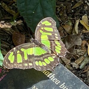 Meet your Posher, Heidi